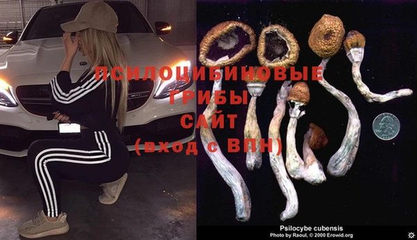 кристаллы Абаза